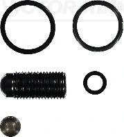 Repair Kit, unit injector